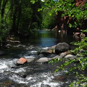 Meet your Posher, Kaylie